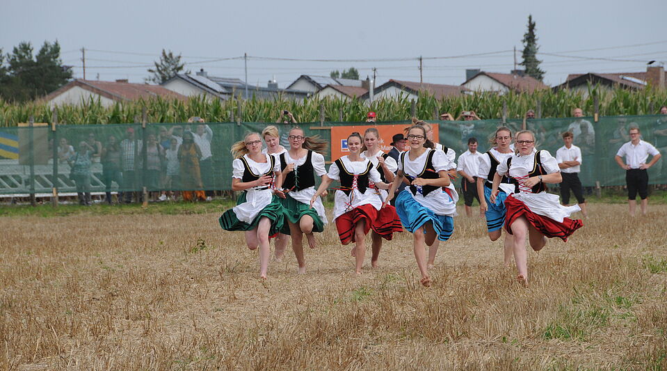 Stoppelfeld: Wettlauf der Mädchen Stoppelfeld: Wettlauf der Mädchen
